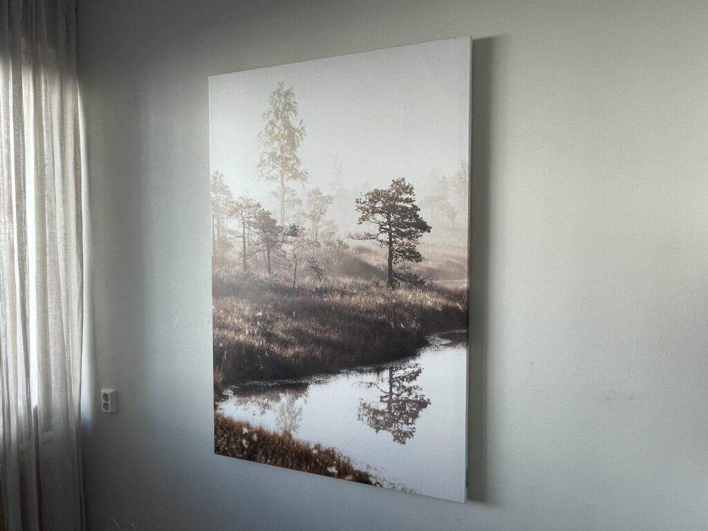 Ljus vägg med tavla med naturmotiv där solljus faller in från sidan.